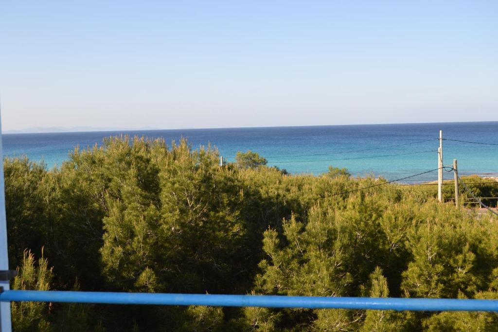 Apartamentos Cas Xurrac Es Calo  Cameră foto